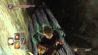 Dark Souls 2: Gnawing Covenant Achievement