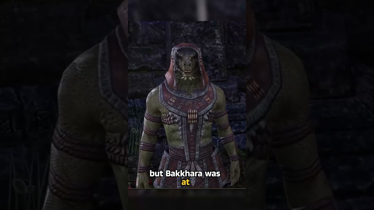 The Argonian & The Missing Khajiit