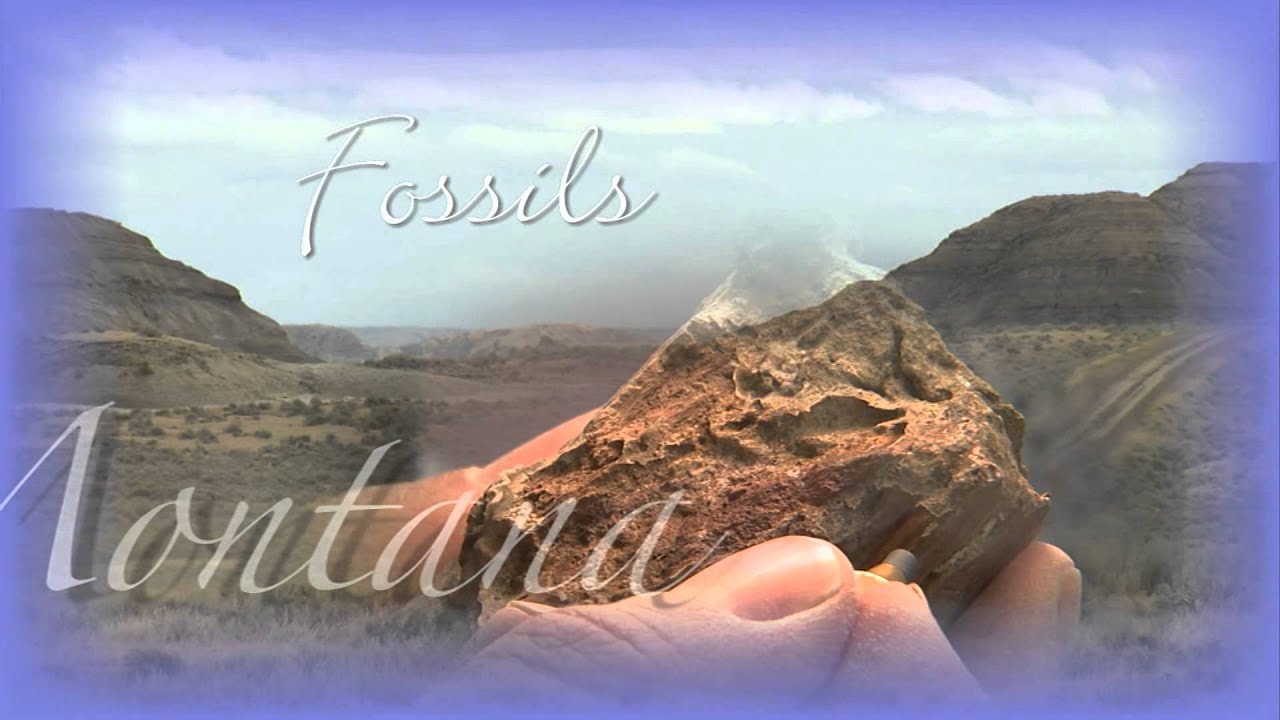 Bennett Watt Discoveries America Montana Travel Video – Bennett