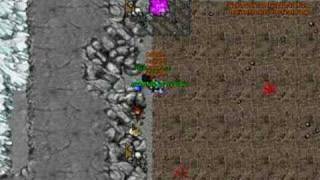 Tibia Arena