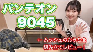 爬虫類ケージ パンテオン9045 組み立て方まとめ！ムッシュのお家が来