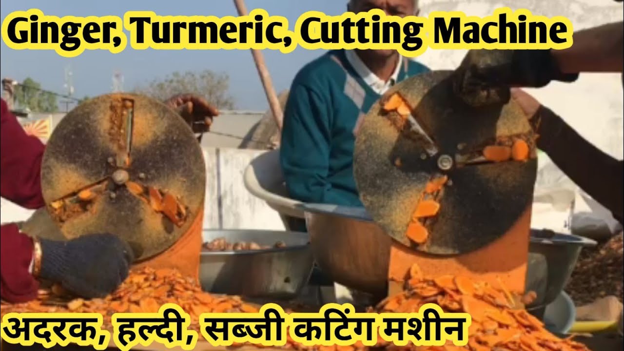 Turmeric Cutting Machine Vegetable Slicer turmeric-cutting-machine-vegetable-slicer