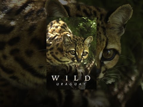 Wild Uruguay