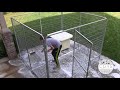 K9 Kennel Store Cleaning Dog Kennels