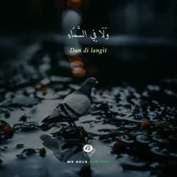 Story wa sholawat merdu#