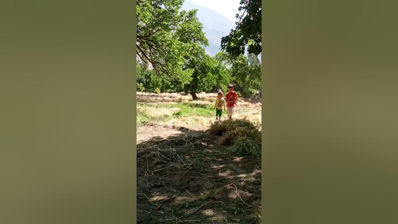 Brother and Sister Racing ???? YouTube