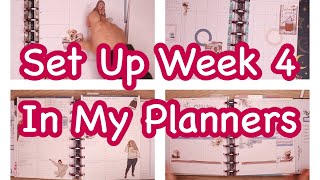 Set Up January Planner Laurel Denise Frankenplanner ON DISCS