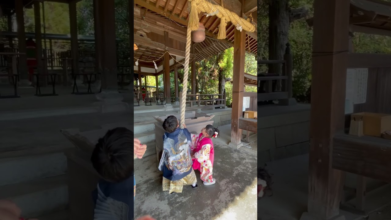 Japanese kids /shichigosan