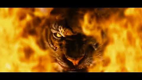 Tiger group Logo - loop created by Mint Studio by VJ Nirav