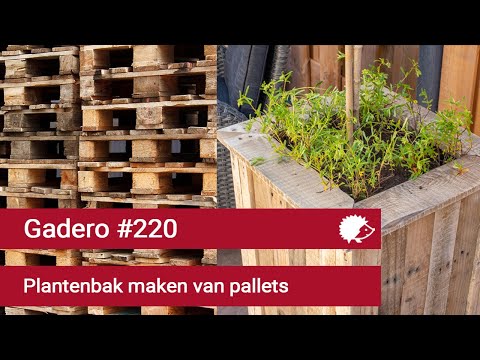 Video: DIY-steiger Gemaakt Van Hout (21 Foto's): Hoe Maak Je Zelf Paneelvloeren Van De Planken? Hoe Monteer Je Houten Steigers Van Pallets Volgens Tekeningen?