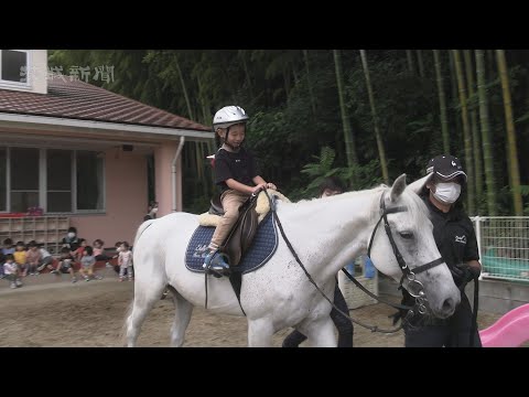園児ら乗馬体験　つくば市の島名保育園