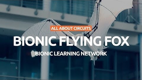 Bionic Flying Fox