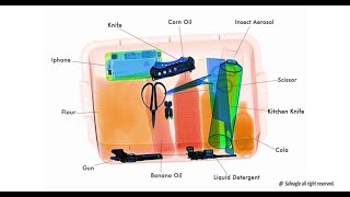 Safeagle 7-colors imaging X-Ray Baggage Scanner Video