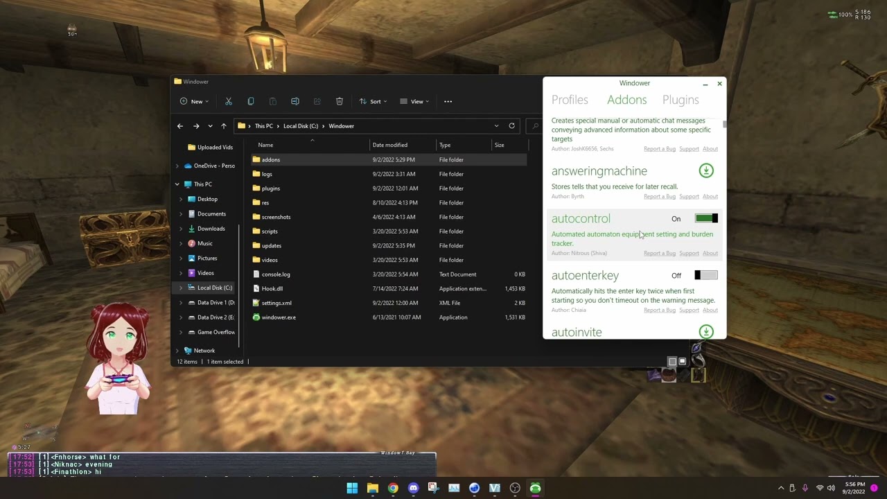 FFXI Advanced UI Guide Windower, DGvoodoo, other add ons YouTube