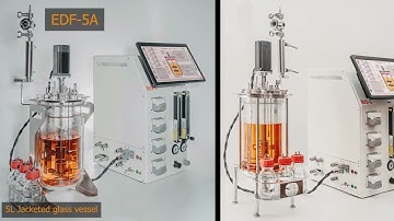 5 Liter Laboratory Bioreactor EDF Series