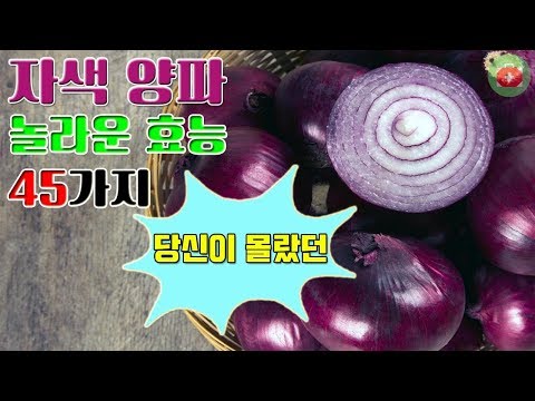 당신이 몰랐던 자색 양파의 놀라운 효능 45가지!! | SHARE 건강정보