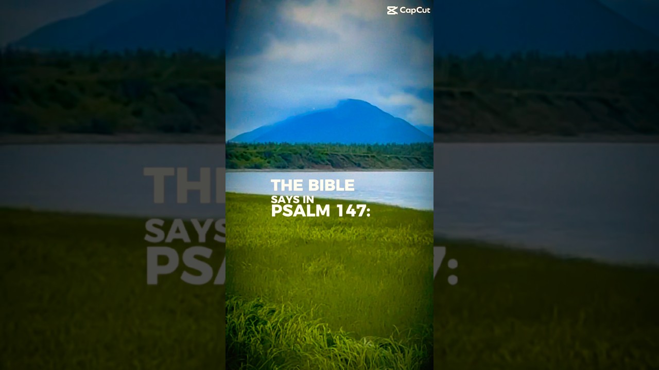 God Heals the Brokenhearted — Psalm 147:3