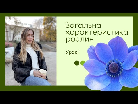 Загальна характеристика рослин. Ботаніка. Урок 1. Підготовка до ЗНО