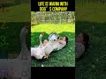 Life is warm with dog’s company #foryou #funny #petsrule #dog #pets #cutedog #doglife #funnydogs