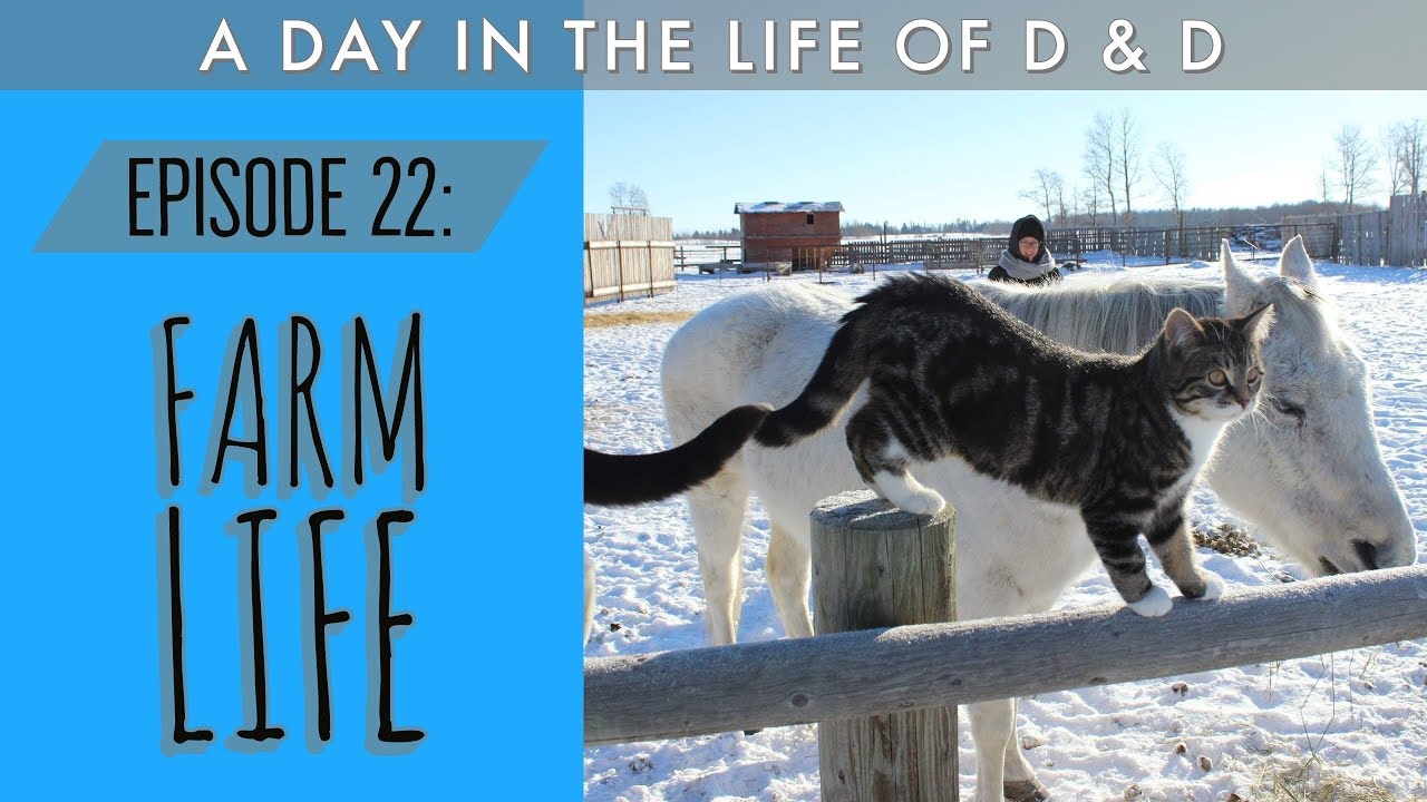 exercise 14.1 class 11 Farm Life | Day in the Life Ep. 22