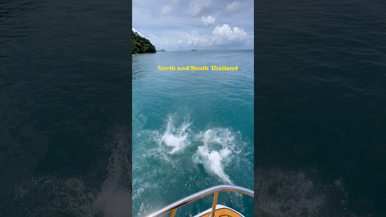 Flashback to our time in the North and South of Thailand! 🇹🇭