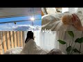リノベ団地20代一人暮らし5日間vlog|よく寝て食べてほどほどに動く平日【Vol.2】