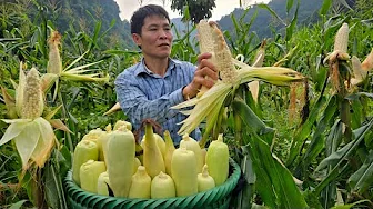 Life Alone on the Farm - Catching Chickens & Pigs, Harvesting Fruits, Market Day | Solo Survival