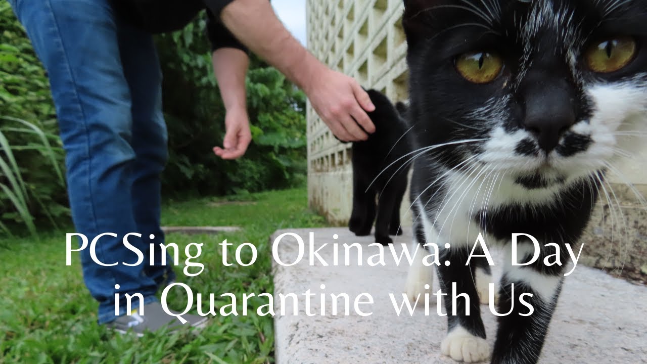 A Day in Quarantine in Okinawa, Japan YouTube