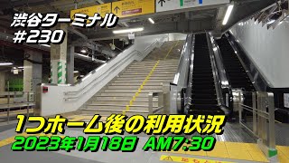 JR渋谷駅山手線ホームが1つになったその後の利用状況 2023/1/18