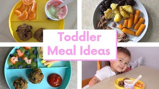 Toddler meal ideas the whole family will love