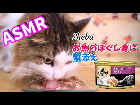 【ASMR】猫が餌(シーバデリ お魚のほぐし身に蟹添え)を食べる動画【音フェチ】