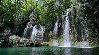 Gonzo Sings  Kubuhlungu  amapiano