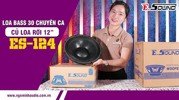ĐÁNH GIÁ CHI TIẾT CỦ LOA RỜI E.SOUND BASS 30 COIL 76MM - NHỎ MÀ CÓ VÕ