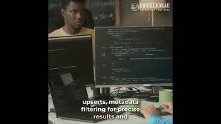 Surge Datalab - About Pinecone