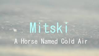 Mitski - A Horse Named Cold Air (Sub. español)