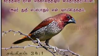 Video voorbeeld van "Bless the Lord oh my soul in Tamil 10,000 Reasons"