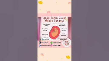 Thumbnail of Tanda Janin Sudah Masuk Panggul