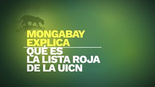 Mongabay explica: ¿qué es la Lista roja de la UICN?