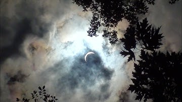 KordBot Koncerto Opus 1