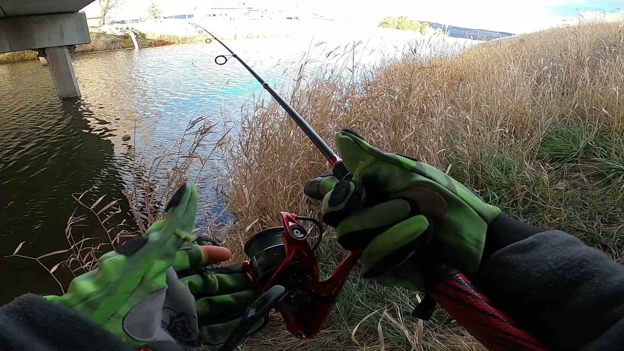 What it's Like To Fish For Bass in The Winter | River Fishing |
