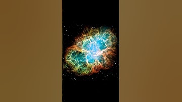 Will Betelgeuse Explode Within Our Lifetimes?