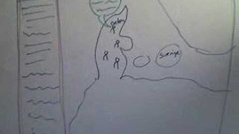 Umbraco 24 Hour Web Application - video 5