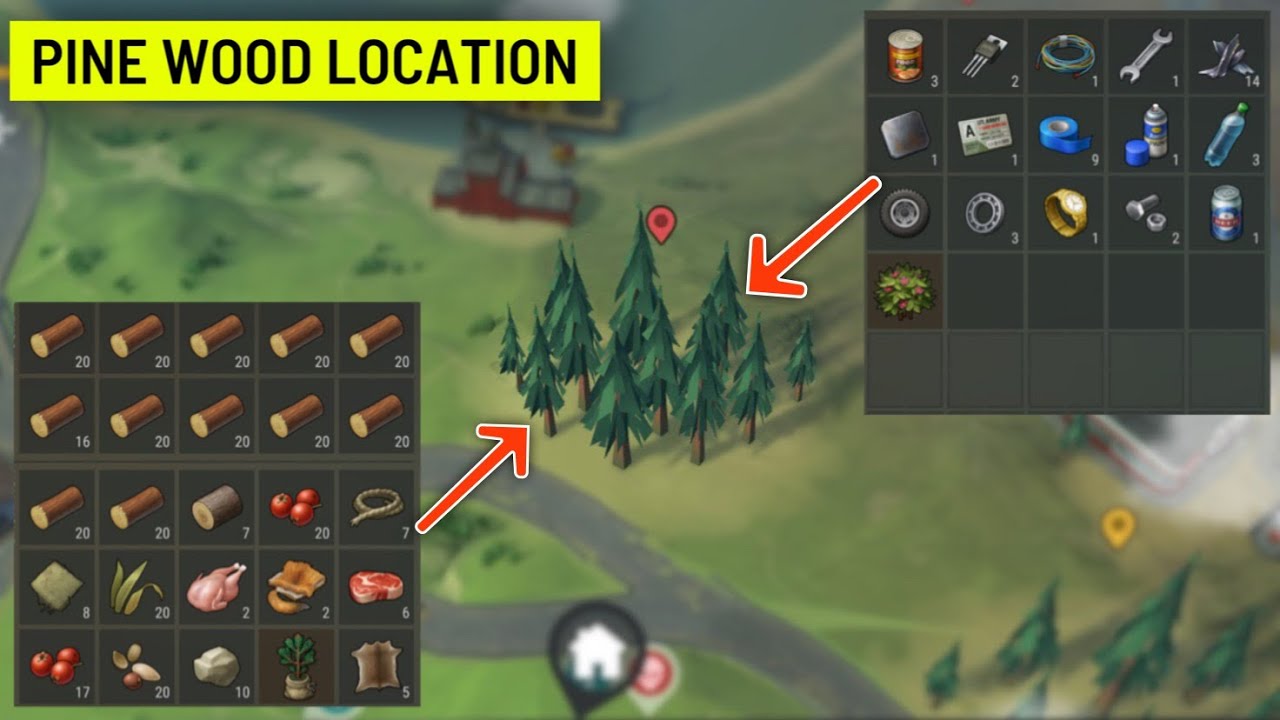 Pine Wood location? All The Items You Can Get - (Last Day On Earth) Survival