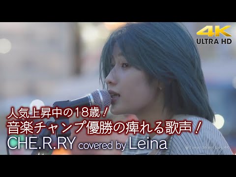 【 歌うま 】音楽チャンプ優勝の痺れる歌声！人上昇中！ CHE.R.RY / Yui（ covered by Leina ）4K映像