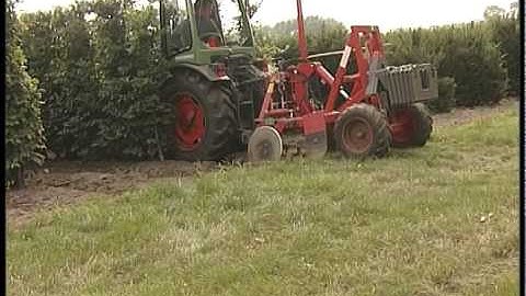 QuickHedge instant hedges - undercutting roots