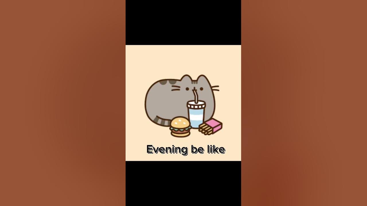 what-do-you-like-more-evening-or-morning-youtube