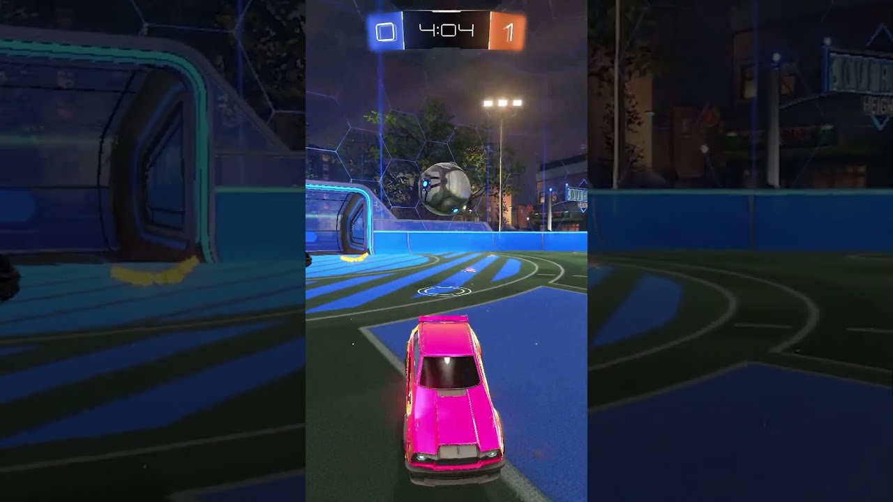 Zen S BEST Shot EVER 
