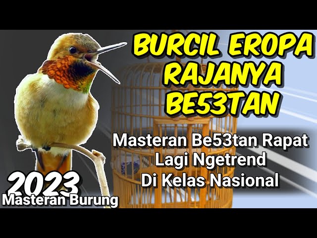 BURCIL EROPA FULL BE53TAN || MASTERAN Tembakan RAPAT UNTUK ISIAN - LAGI TREND class=