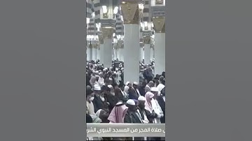 تلاوة من فجر اليوم من المسجد النبوي للشيخ أحمد بن طالب حميد