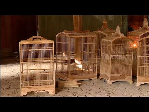 Video: Cara Membangun Sangkar Burung